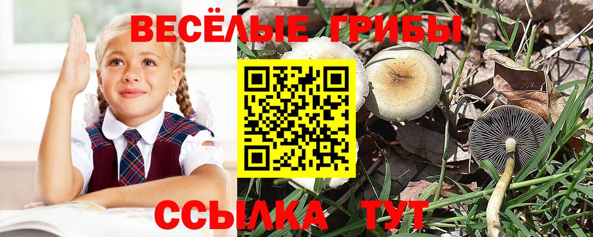 Галлюциногенные грибы MAGIC MUSHROOMS Балашиха