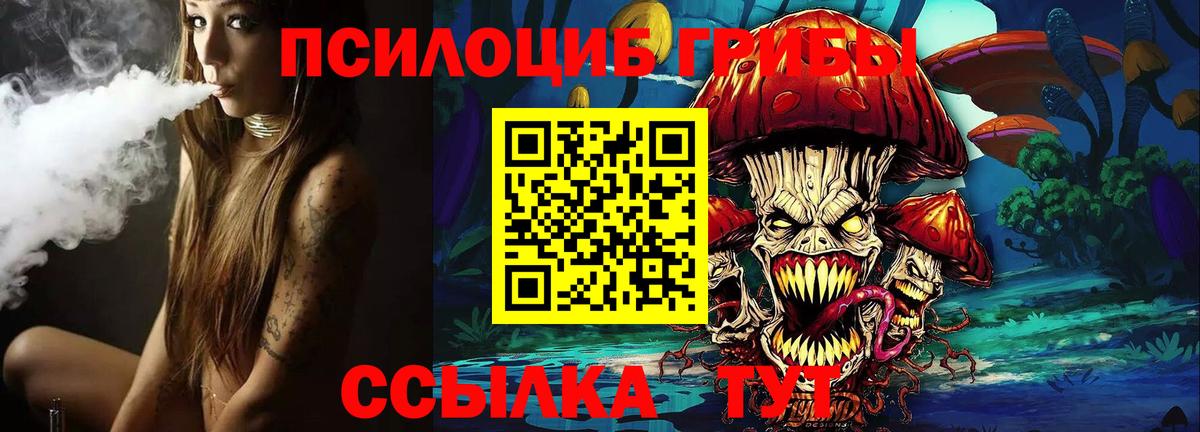 что такое наркотик  Вход с VPN  Балашиха  Галлюциногенные грибы Psilocybe 